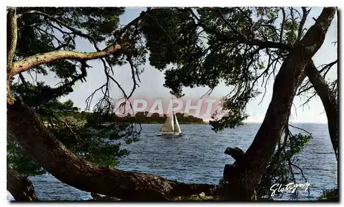 Cartes postales moderne Ile Saint Marguerite Au Loin Ile Saint Honorat