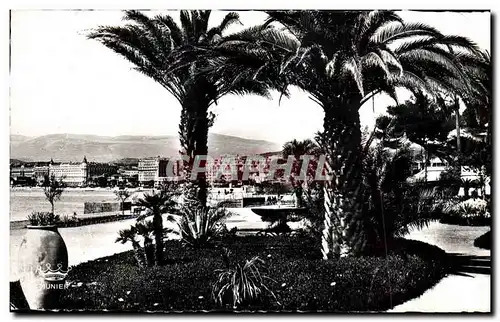 Cartes postales moderne Cannes Vue sur Les Hotels Prise Du Jardin Albert 1er