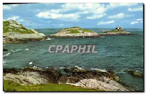 Cartes postales moderne Mubles Head Swansea