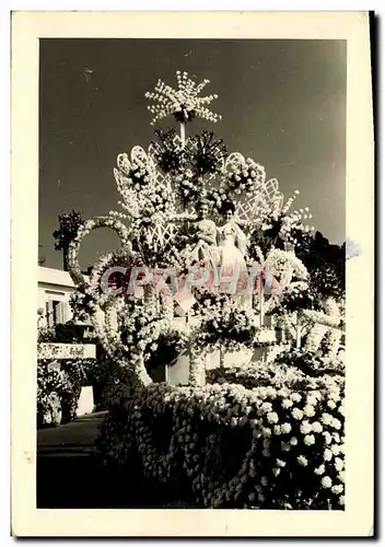 Photo Nice 1960 Carnaval des fleurs