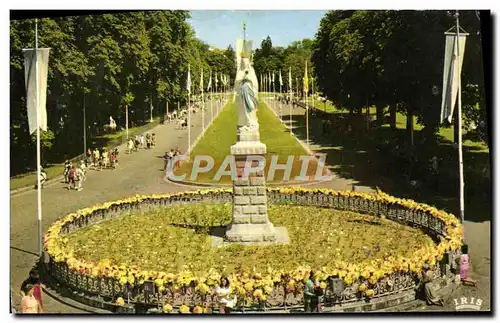 Cartes postales moderne Lourdes La Vierge Couronnee