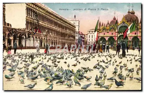 Cartes postales Venezia Piccioni Di Piazza S Marco