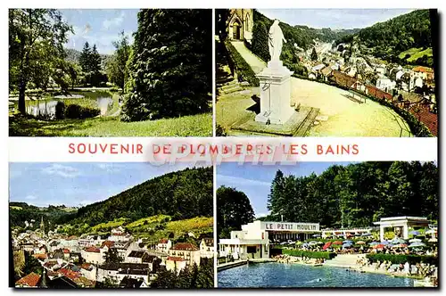 Cartes postales moderne Souvenir De Plombieres Les Bains Le parc Vue generale Le petit moulin