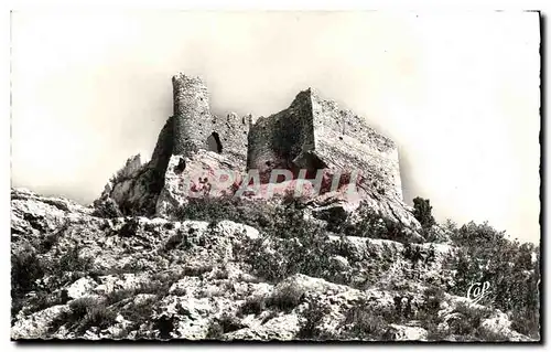 Cartes postales moderne Fontaine De Vaucluse Le Chateau De Petrarque