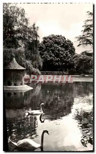 Cartes postales moderne Toulouse Le Jardin Royal Cygnes