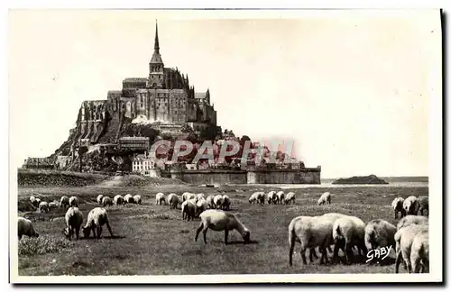 Cartes postales moderne Le Mont Saint Michel Moutons