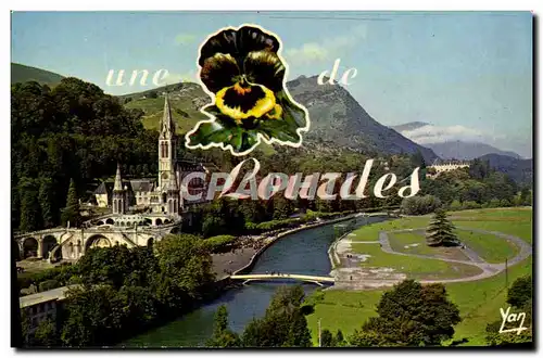 Cartes postales moderne Une fleur De Lourdes