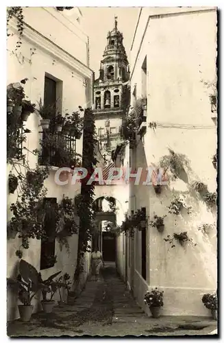 Cartes postales moderne Cordoba Vista de la Calleja de Las Flores al Salliente