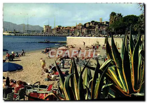 Cartes postales moderne Cannes Vue Sur la Plage et le Suquet