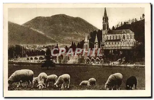 Ansichtskarte AK Lourdes La Basilique et le Pic Du Jer Moutons