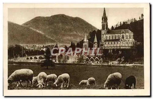 Cartes postales Lourdes La Basilique et le Pic Du Jer Moutons