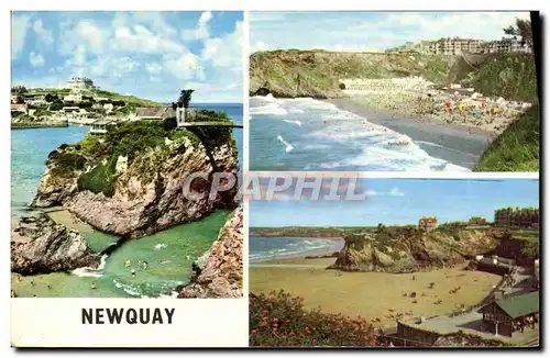 Cartes postales moderne Newquay Tolcarne Beach The island