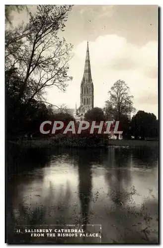 Cartes postales Salisbury Cathedral From The Bishops Palace