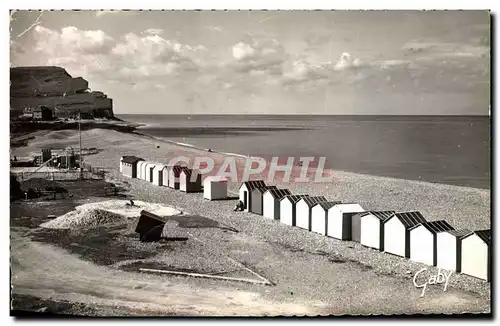 Cartes postales moderne Criel Sur Mer La Plage