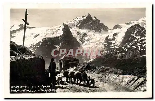 Cartes postales moderne Environs de La Grave Chazelet et la Meije Berger Moutons