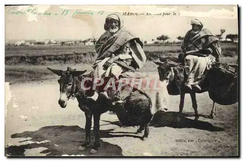 Cartes postales Maroc Anes Mules