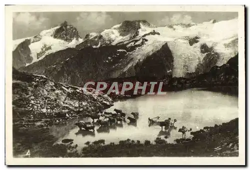 Cartes postales moderne Alpages Vaches