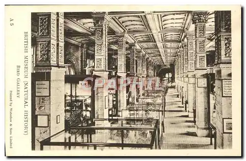 Cartes postales British Museum Bird Gallery Bibliotheque