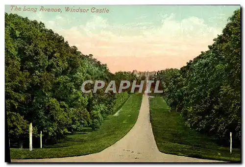 Cartes postales The Long Avenue Windsor Castle