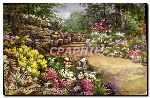 Cartes postales Aubrietias Alyssum Rock Gardens Kew Gardens