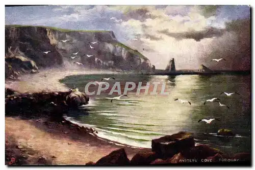 Cartes postales Ansteys Cove Torquay