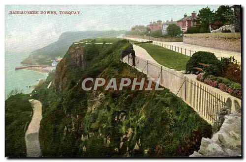 Cartes postales Babbacombe Downs Torquay