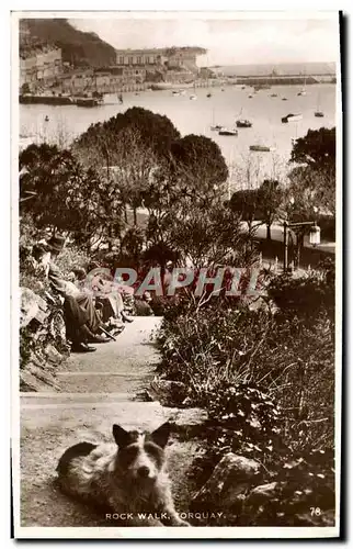 Cartes postales Rock Walk Torquay Chien