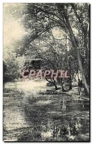 Ansichtskarte AK Le Bois De Boulogne Un coin du lac Paris