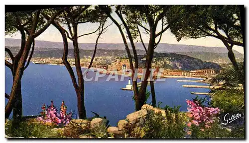 Cartes postales Nice Vue Entre les Pins