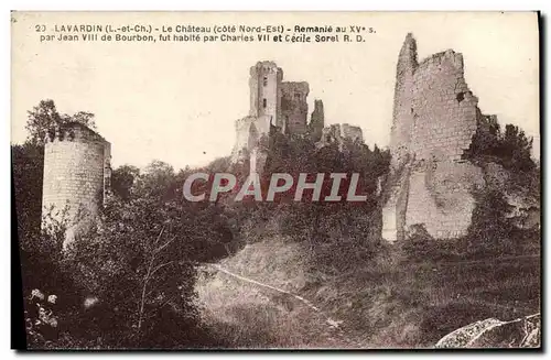 Cartes postales Lavardin Le Chateau