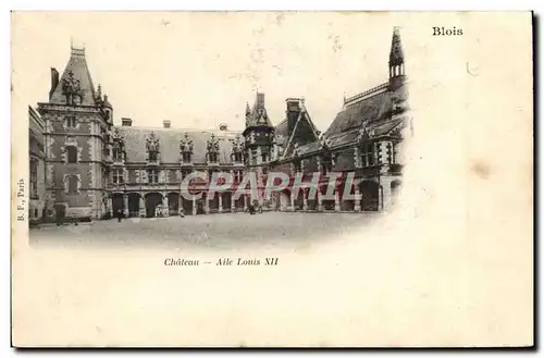 Cartes postales Chateau Aile Louis XII