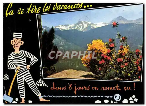 Cartes postales moderne Genets et Rhododendrons dans le Massif du Carlitte au fond les Pics Peric