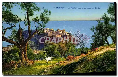 Cartes postales Monaco Le Rocher vue Prise entre les Oliviers Chevre Bouc