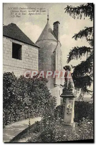 Cartes postales Loches chateau Royal levrier de Louis XI et la tour Agnes Sorel Chien