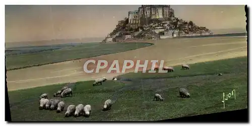 Cartes postales moderne Le Mont Saint Michel Vue Generale et le Couesnon Moutons