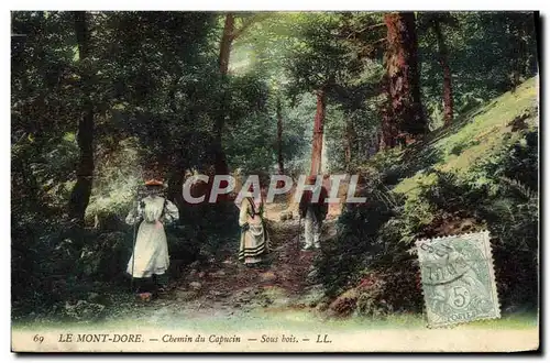 Cartes postales Le Mont Dore Chemin du Capucin Sous Bois