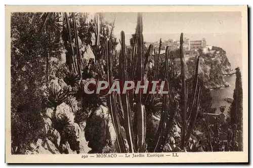 Cartes postales Monaco Le Jardin Exotique