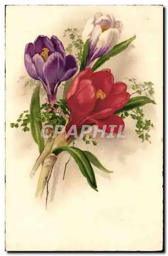 Cartes postales Fantaisie Fleurs