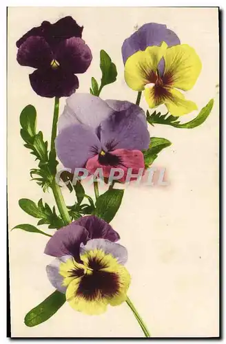 Cartes postales Fantaisie Fleurs