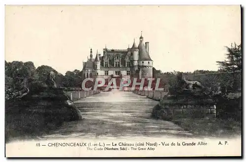 Cartes postales Chanonceaux Le Chateau Vue De La Grande Allee