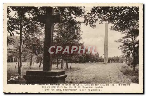 Cartes postales Entre Josselin et Ploermel la Lande de la Mi Voie