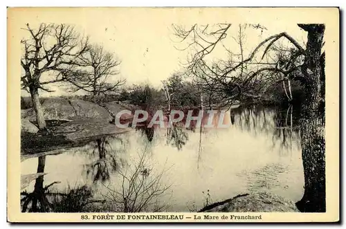 Cartes postales Foret De Fontainebleau La Mare de Franchard