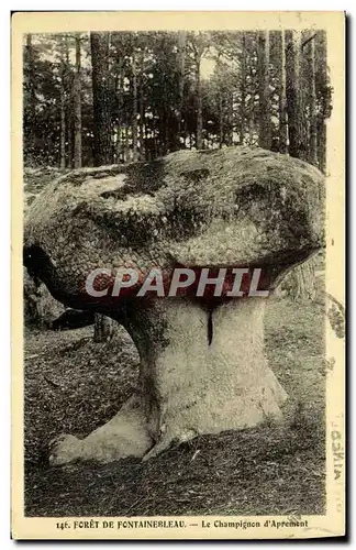 Cartes postales Foret De Fontainerleau Le Champignon d&#39Aprement