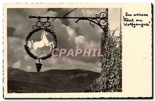 Cartes postales Saint Woligang am Wolfgangsee Cheval Blanc