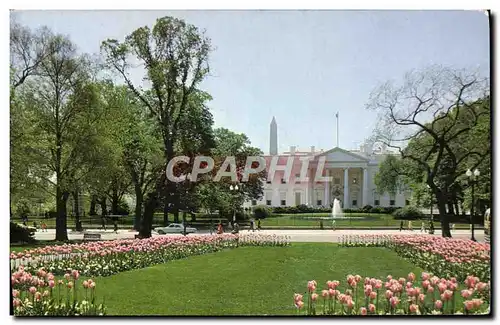Cartes postales moderne White House Washington