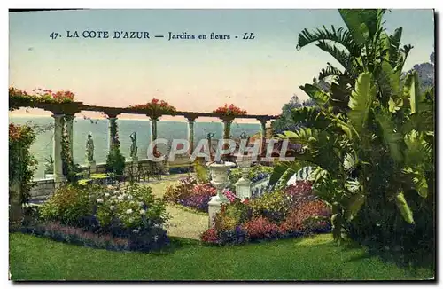 Cartes postales La Cote D&#39Azur Jardins en Fleurs