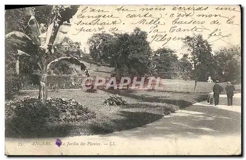 Ansichtskarte AK Angers Le jardin Des Plantes