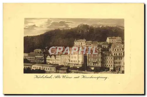 Cartes postales Karlsbad Alte Wiese mit Hirschensprung