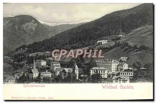 Cartes postales Kaiserpromenade Wildbad Gastein