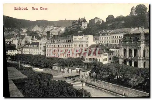 Cartes postales Karlsbad Neue Wiese